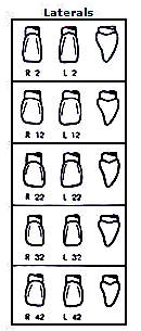 Pella Odus kroner nr.22, 2+2