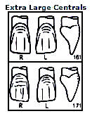 Pella Odus kroner nr.171, 1+1 ekstra stor